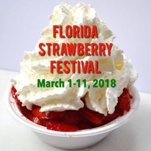 Florida Strawberry Festival pic